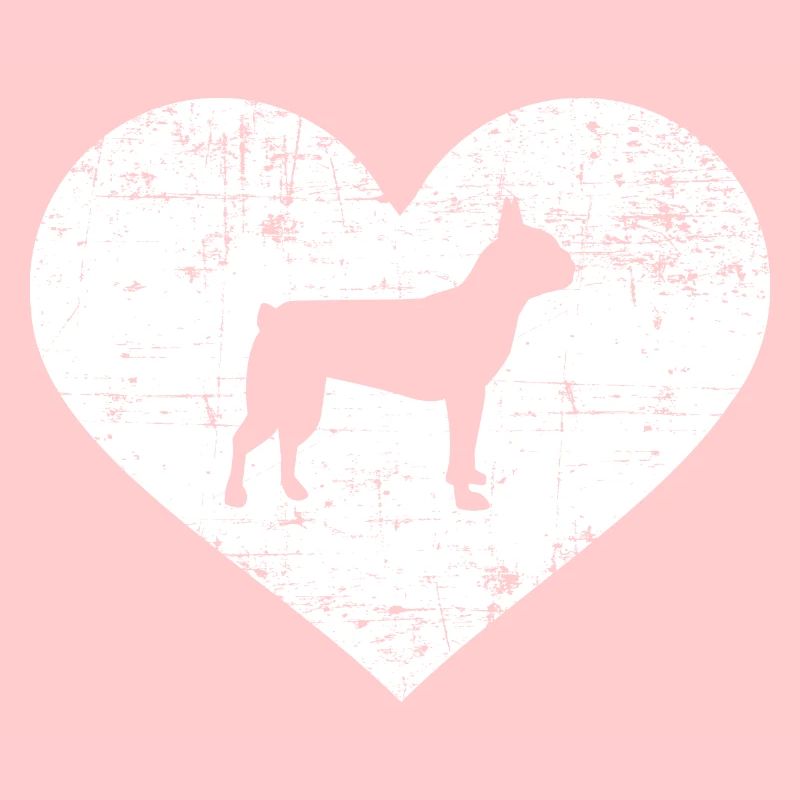 Boston Terrier