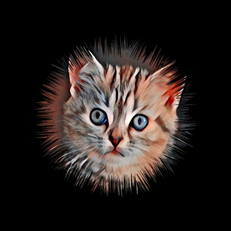 Chat