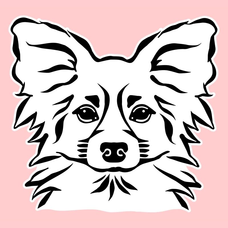 Papillon