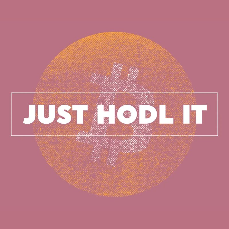 Bitcoin Shirt Men Just Hodl It Funny Cryptography Tee