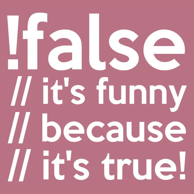 Programmierer false true Informatiker Student Code