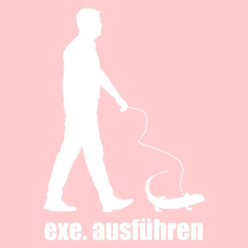 Exe Run