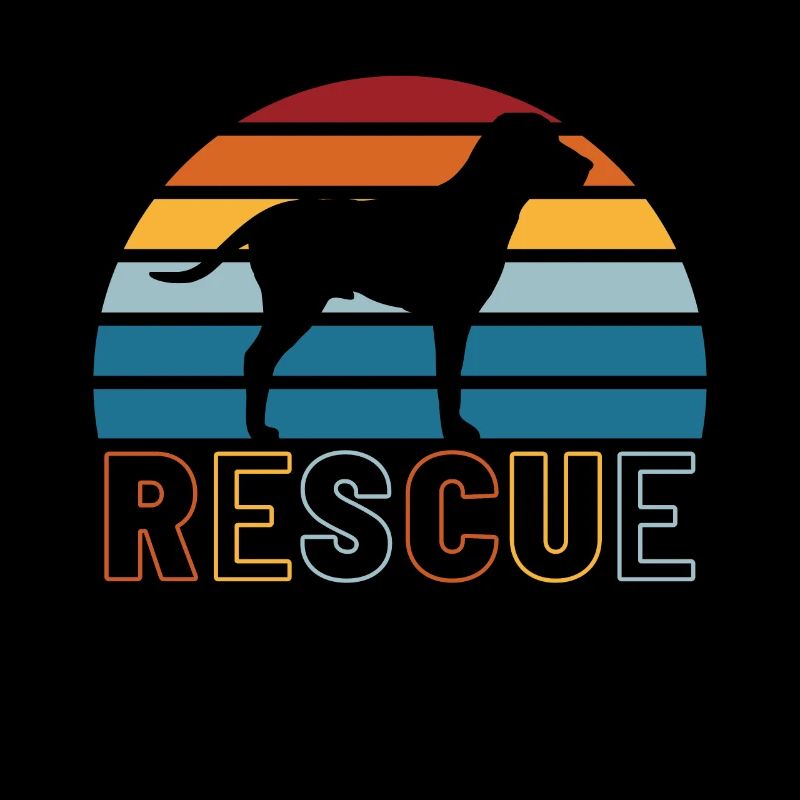 Rescue Dog