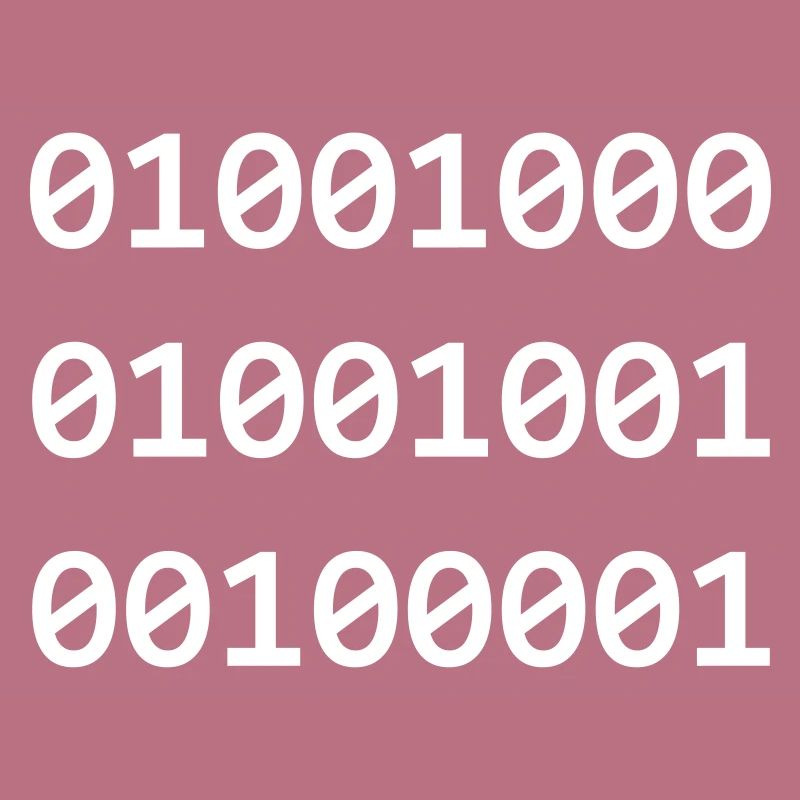 Hi Binary programmers greet each other like this