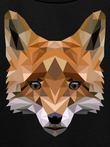 Polygon Fuchs