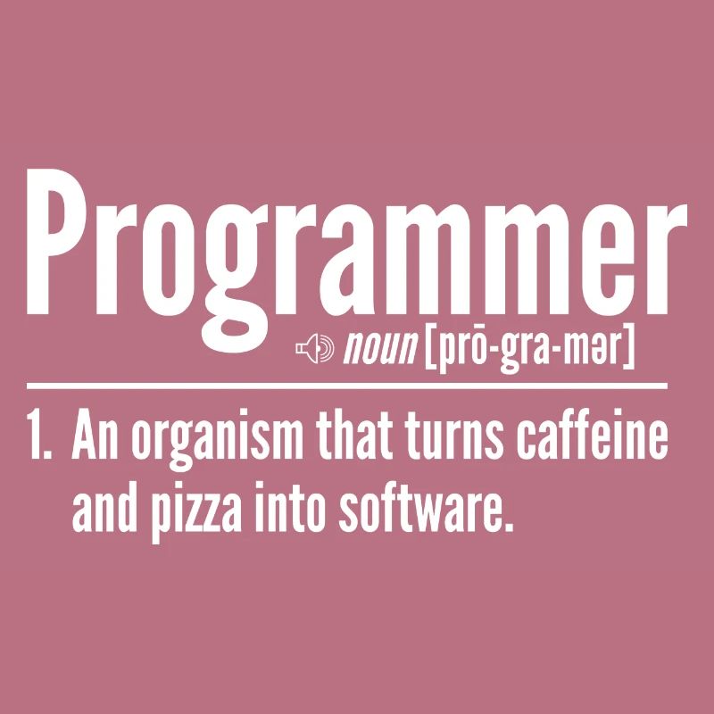 Programmer
