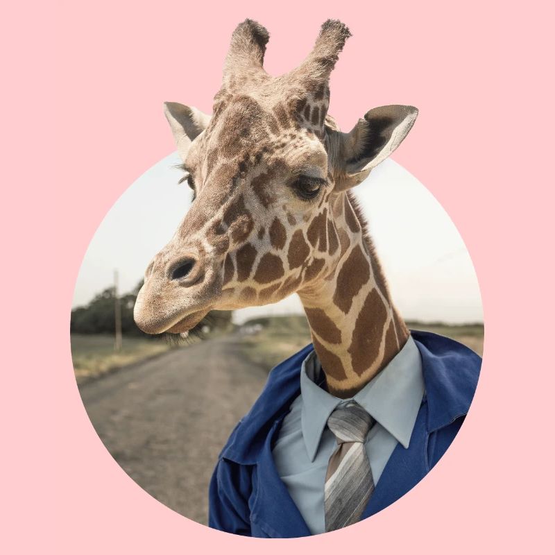 Giraffe im Anzug