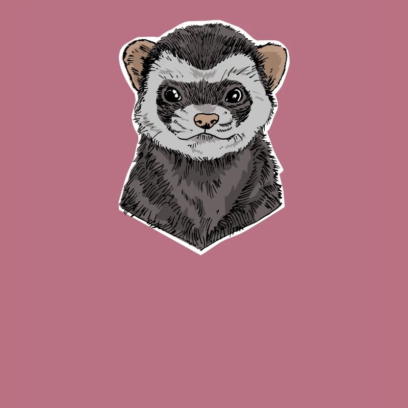ferrets