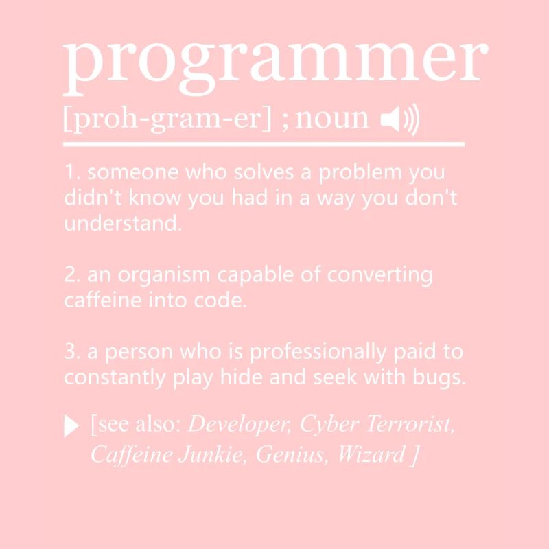 Programmer definition