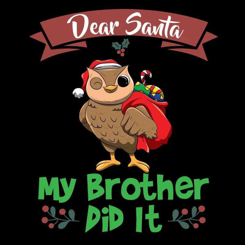 Dear Santa My Brother Did It Siblings Christmas