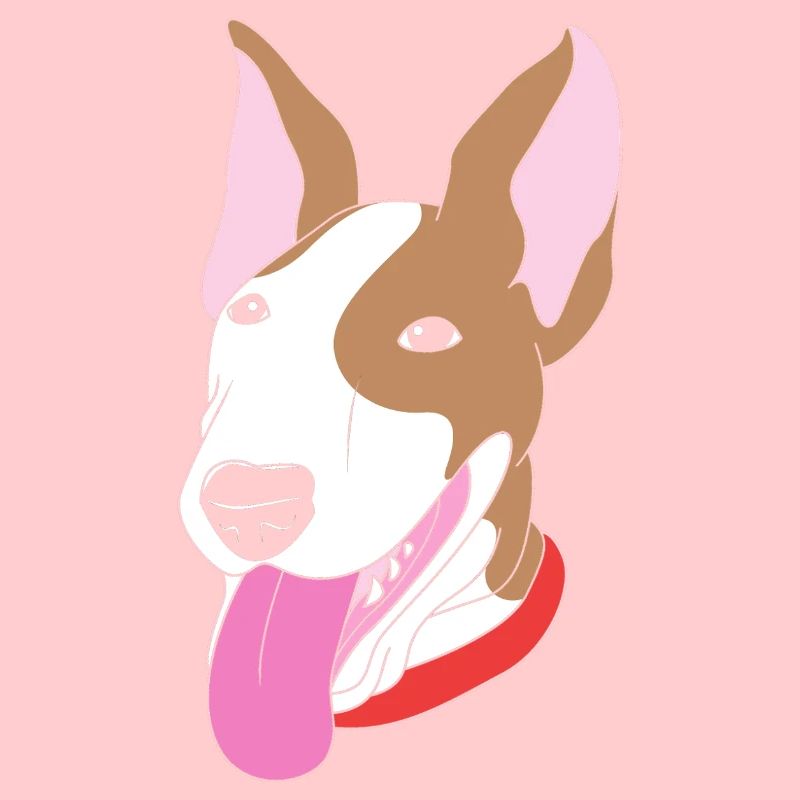 Bullterrier