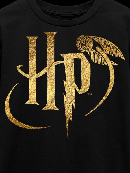 Harry Potter Logo Gold