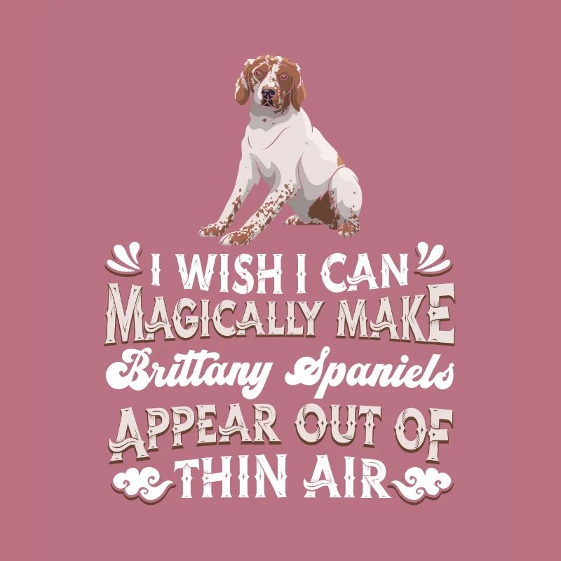 Brittany Spaniel Dog