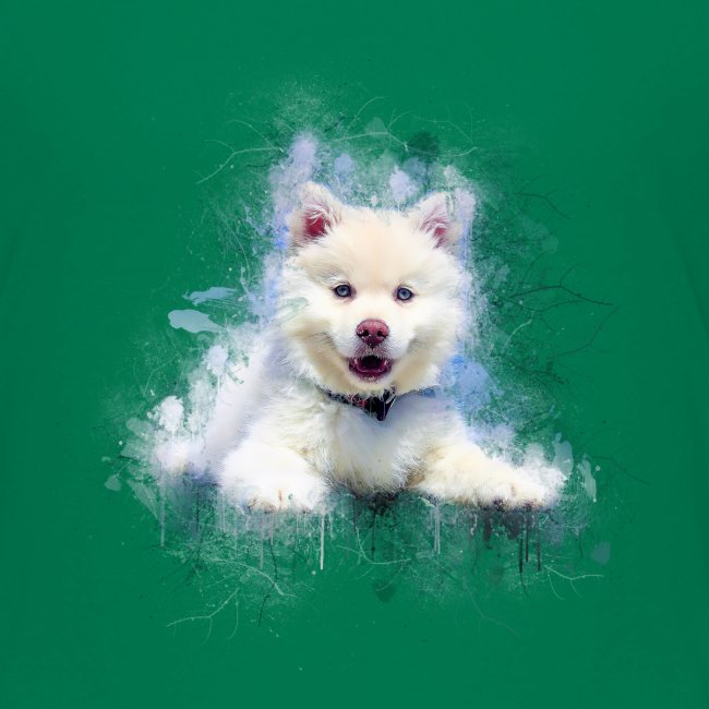 Siberian Husky White Cute Puppy -di- Wyll-Fryd