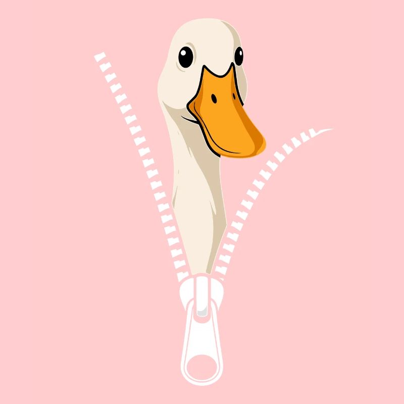 Runner Ducks Runner Duck Accessoires Funny Ducks