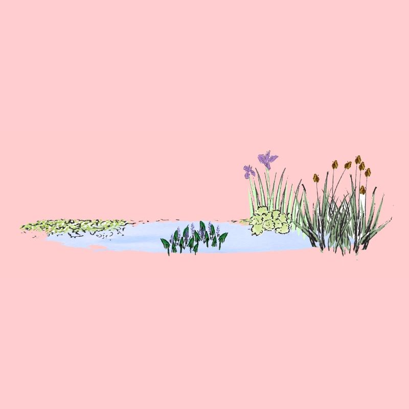 Pond