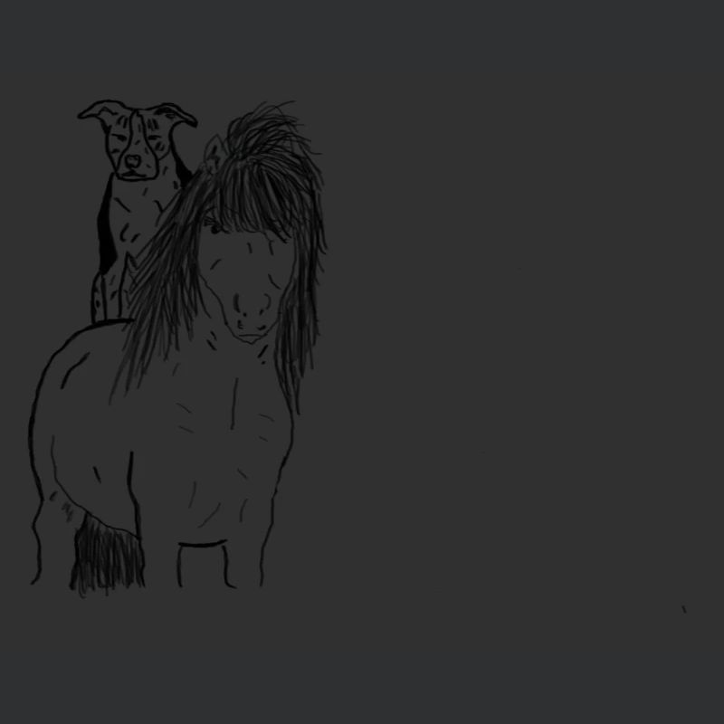 Cavallo e cane