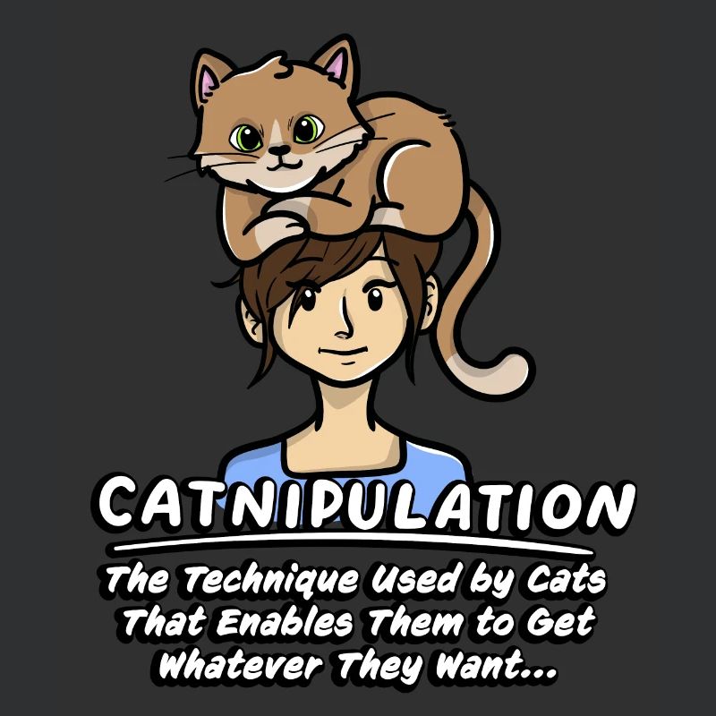 Technique De Catnipulation De Chaton Amant Chat Mignon