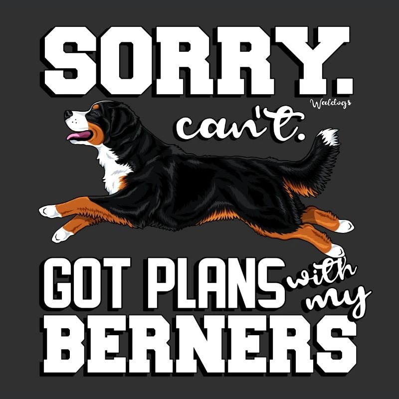 Bernese Berner Plans 2