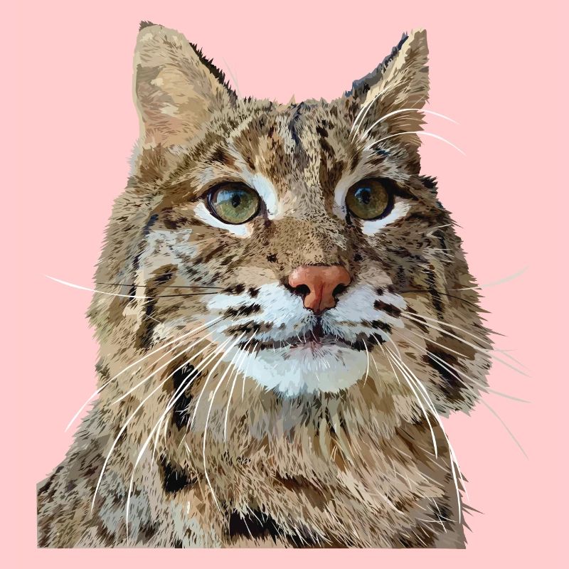 Luchs