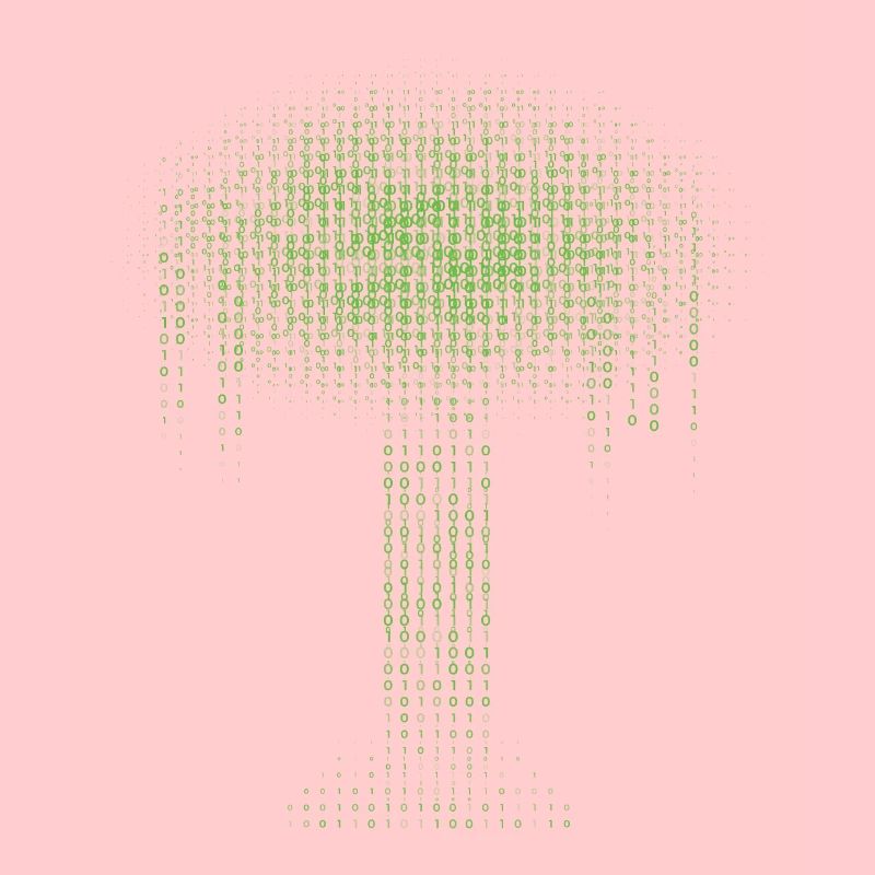 Binary Tree Encoding Computer Programmer