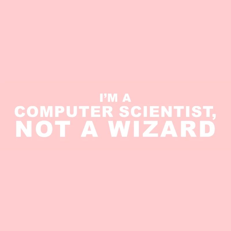 computer scientist
