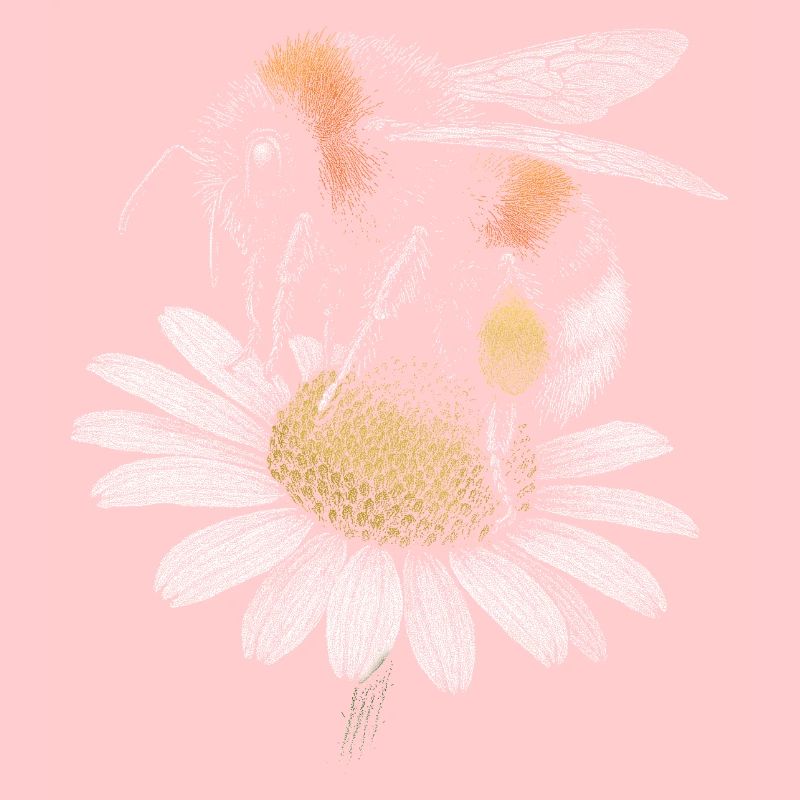 Bumblebee