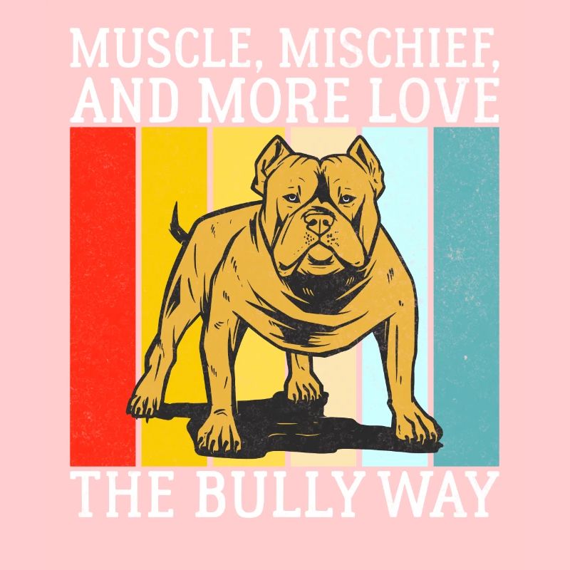 Cadeaux American Bully