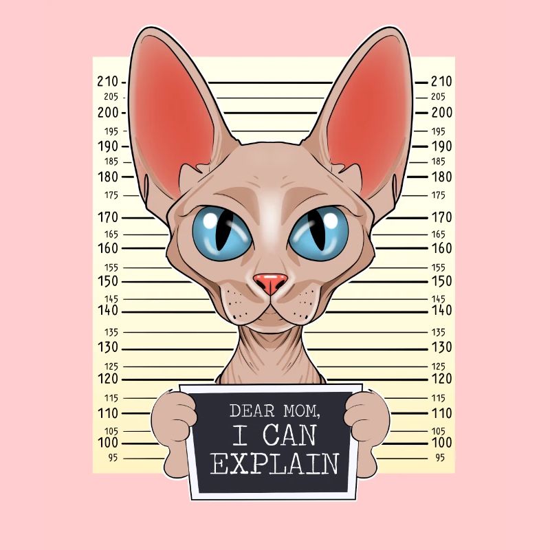Sphynx Cat Mom - Dear Mom I Can Explain