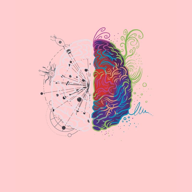 brain