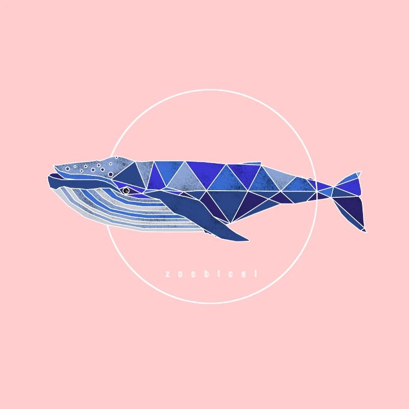 fin whale