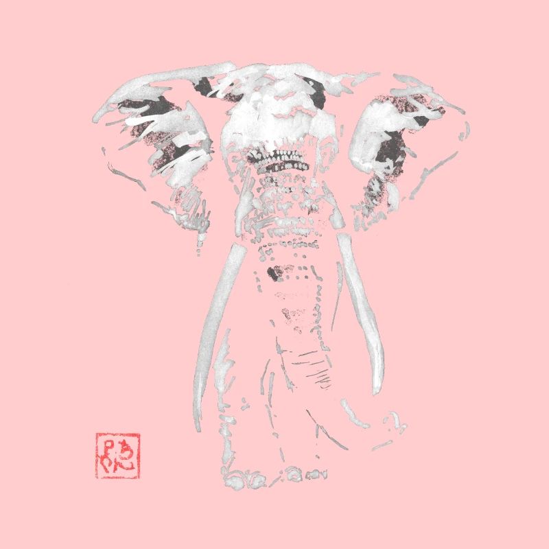 elephant in dark