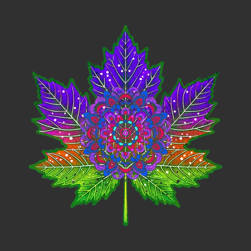 feuilles et mandalas cosmique