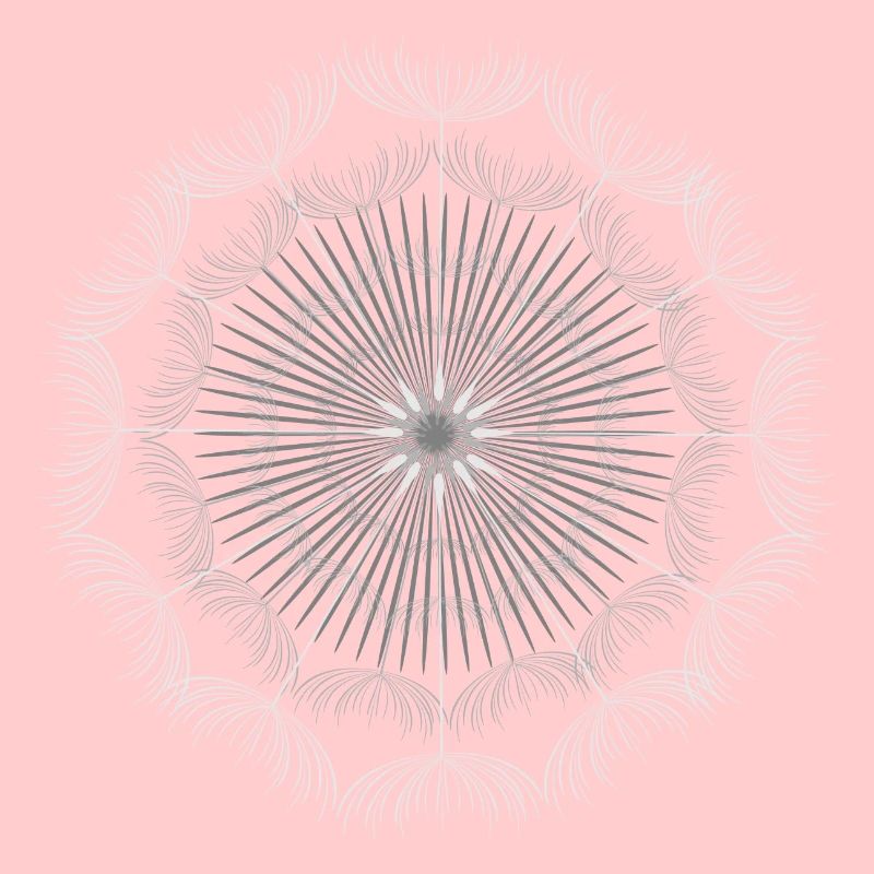 very delicate mandala made from dandelion seeds