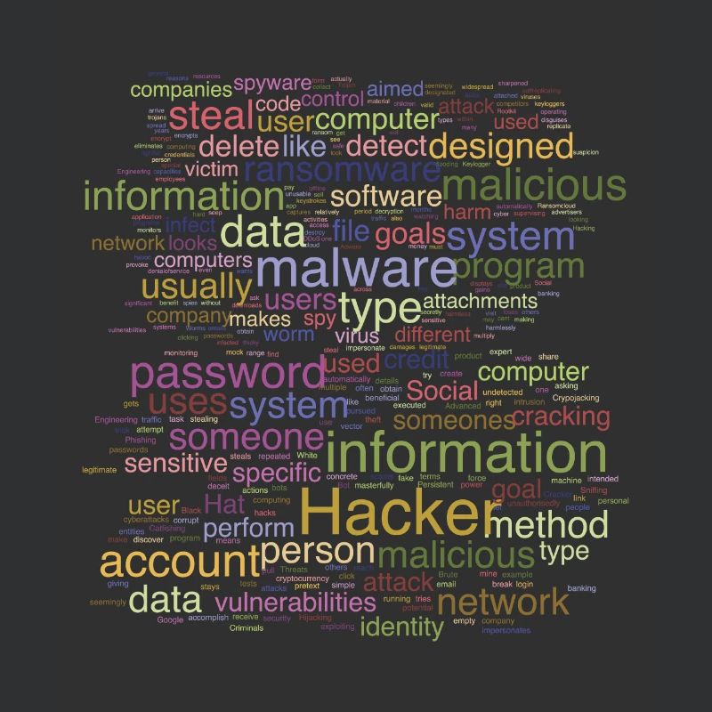 Cybersécurité Programmation informatique