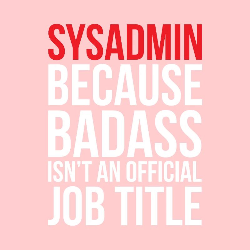 Administrateur système, informaticien, dire, drôle