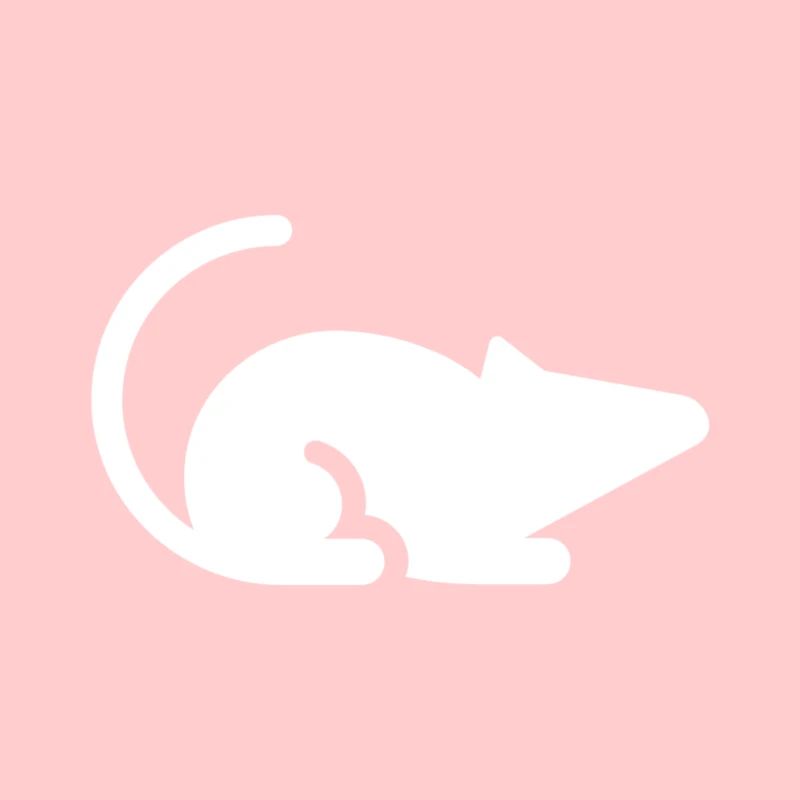 souris