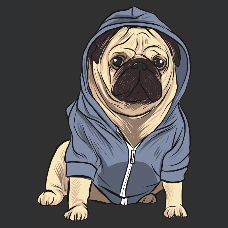Mops met trainingsjack