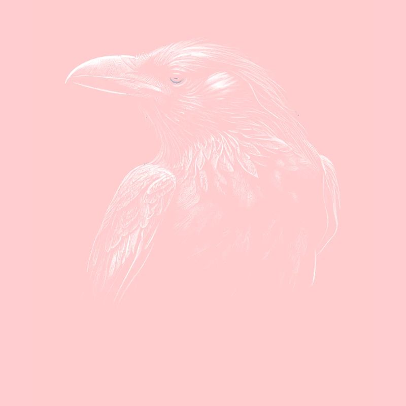 Gothic Moon Black Crow