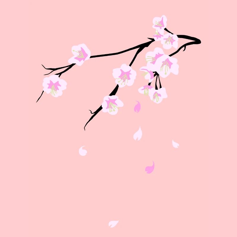 Cherry Blossoms