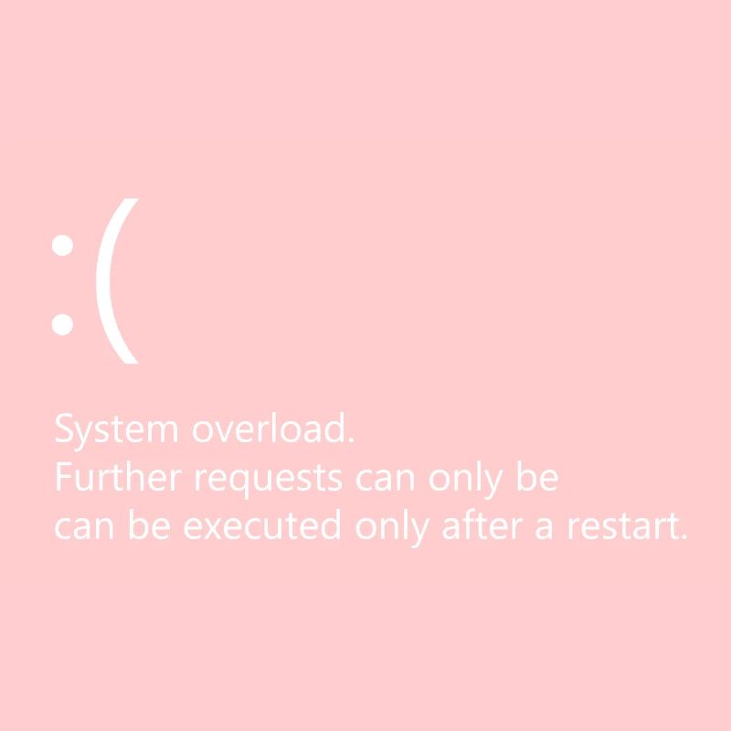System overload - Windows Fehler