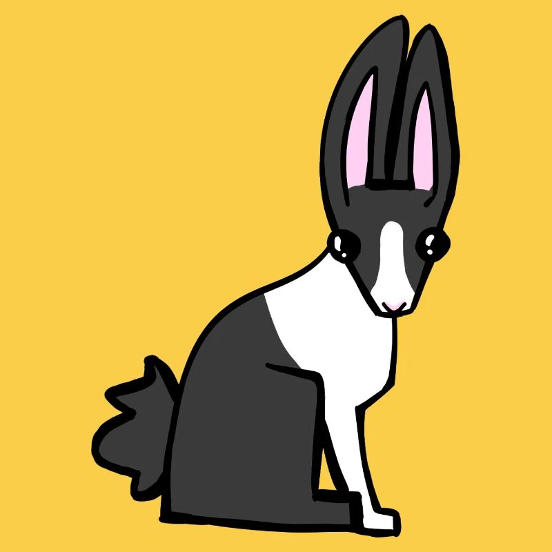 lapin