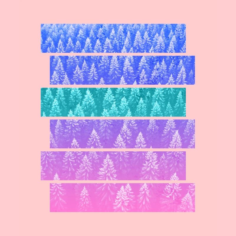 Fir