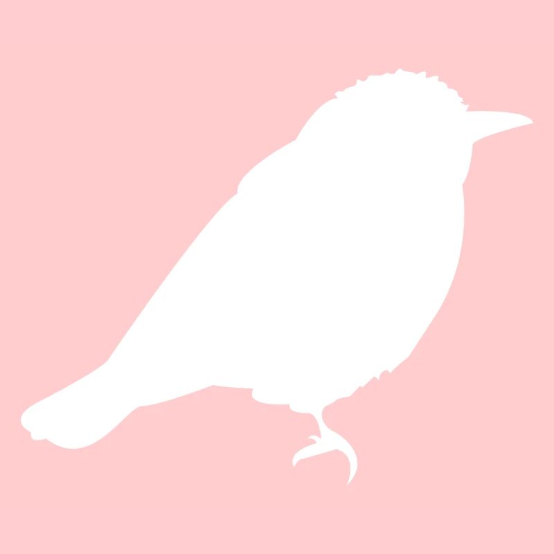 Spatz