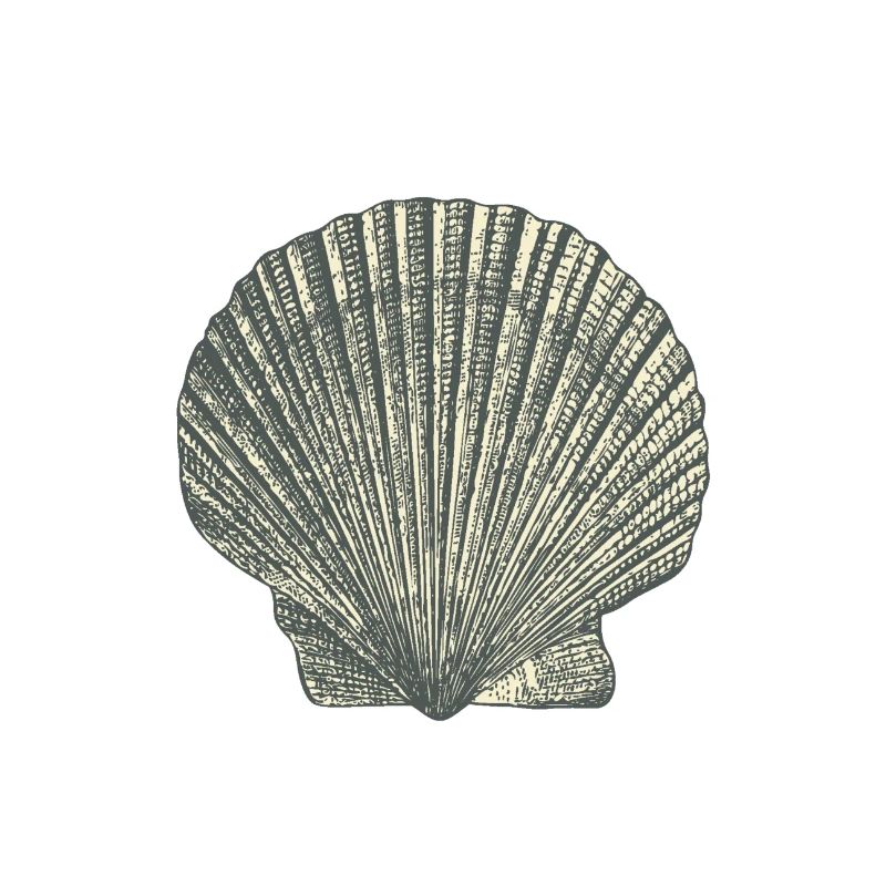 Shellfish