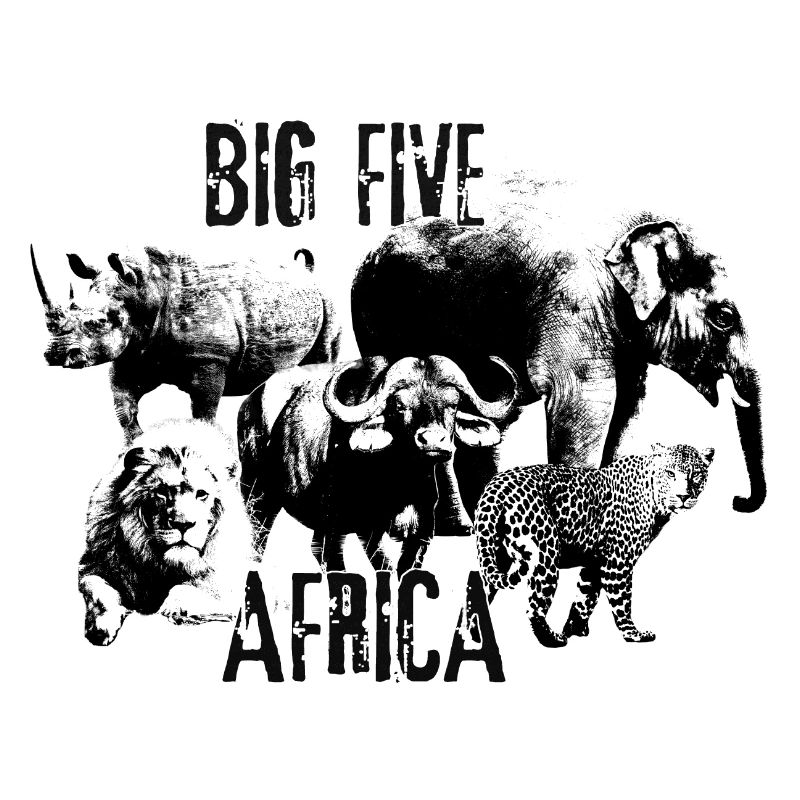 Lion Rhino Elephant Leopard Buffalo Big Five
