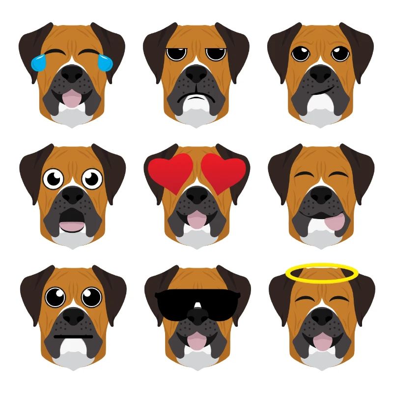 Deutscher Boxer