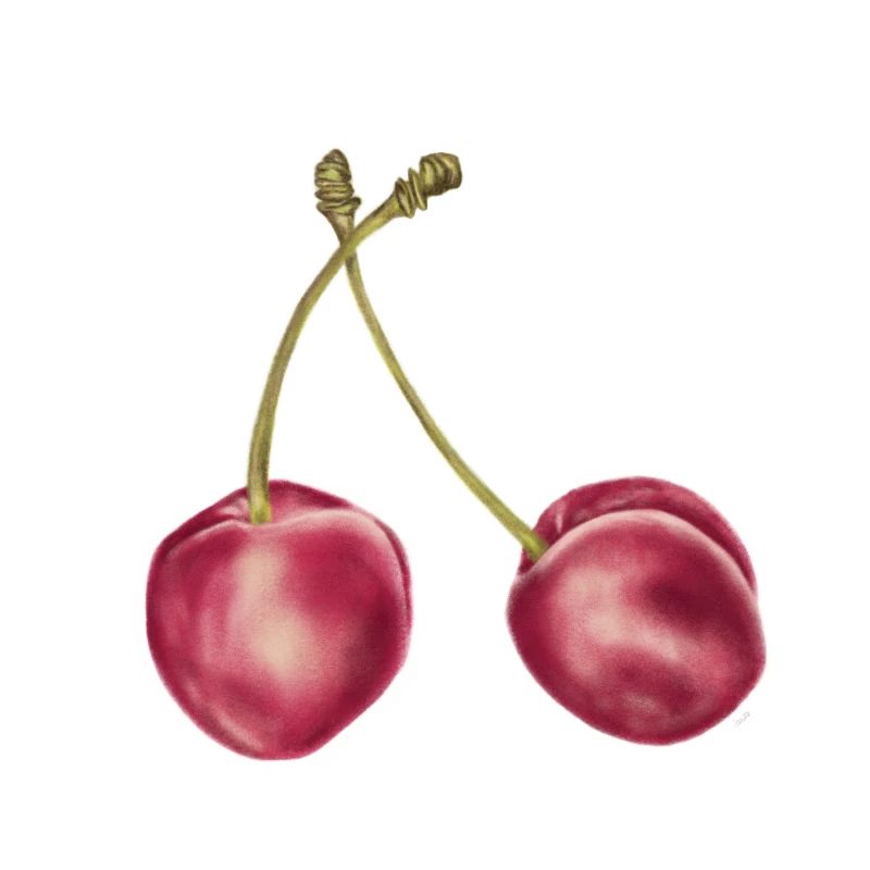 Two red cherries
