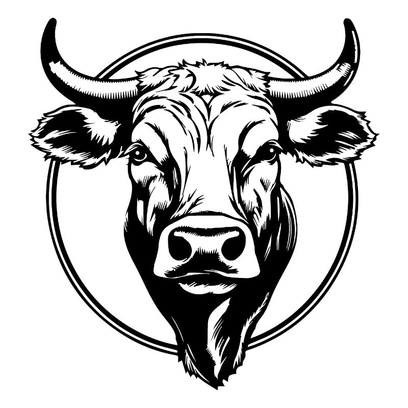 Kuh Kühe Rind Bauernhof Landwirtschaft