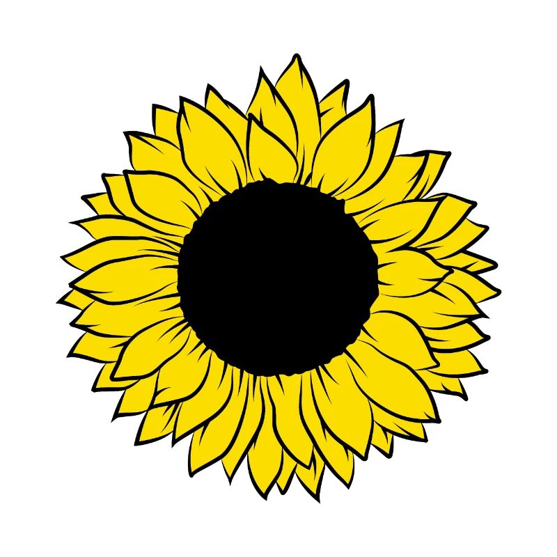 Sonnenblume